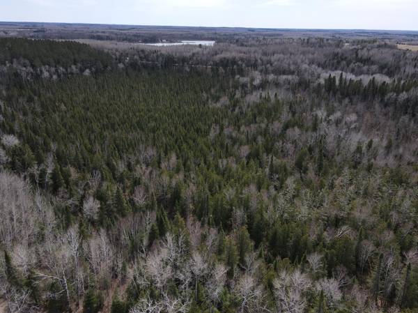 TBD CO Rd 40, Effie, MN 56639