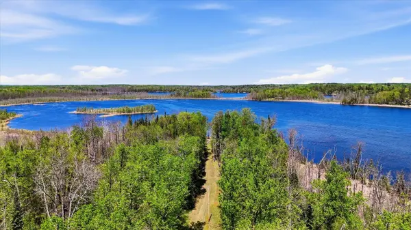 xxx Cedar Point Road, Marcell, MN 56657