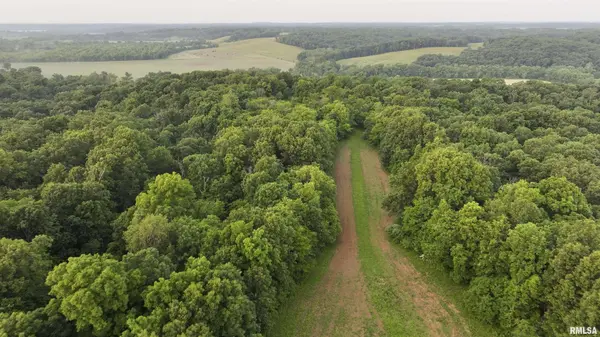 000 N TARTERS FERRY LN, Smithfield, IL 61477-0000