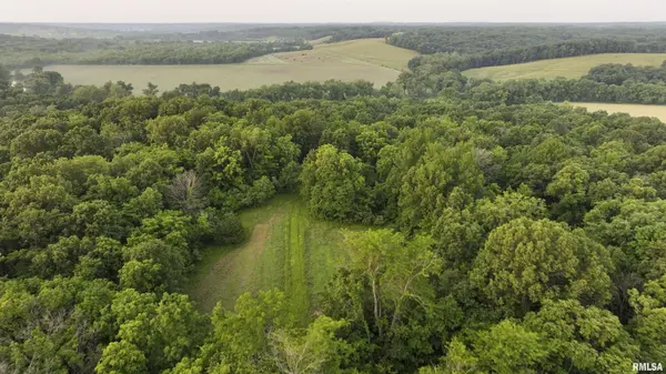 000 N TARTERS FERRY LN, Smithfield, IL 61477-0000