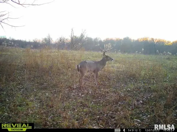 000 Goodman Pond RD, Dongola, IL 62926