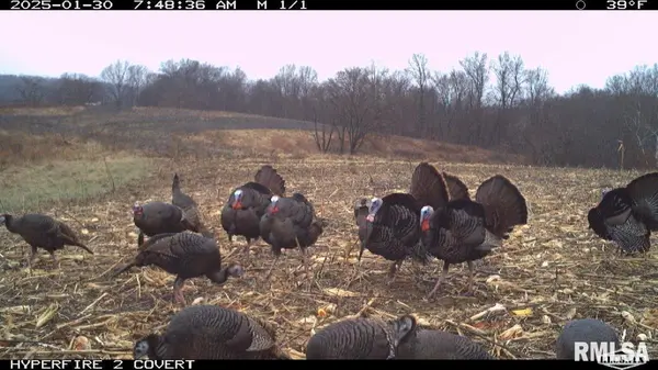 000 Goodman Pond RD, Dongola, IL 62926