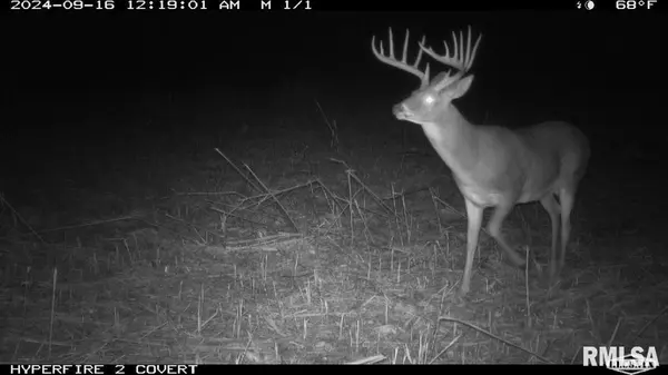 000 Goodman Pond RD,  Dongola,  IL 62926