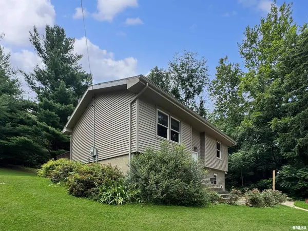 18196/18200 RIVER RD, Danvers, IL 61732