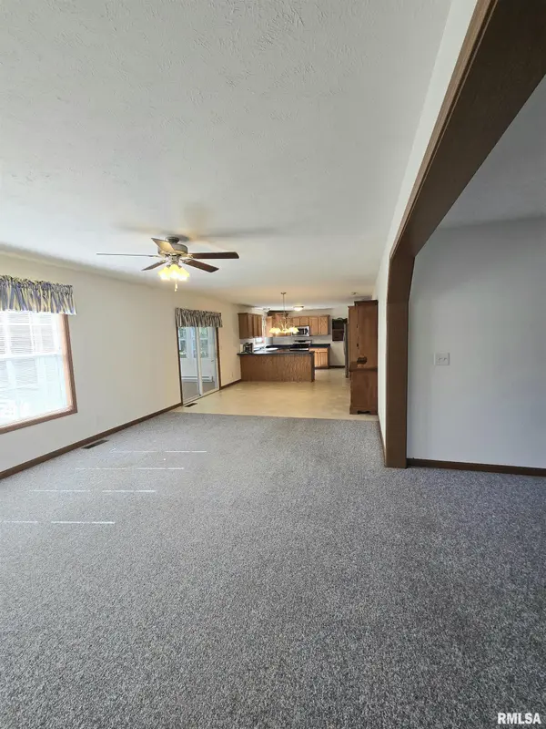 3222 OAK RUN DR, Dahinda, IL 61428