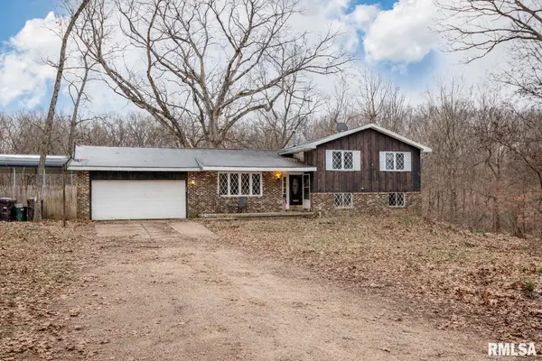 11718 W Hickory Springs DR, Brimfield, IL 61517