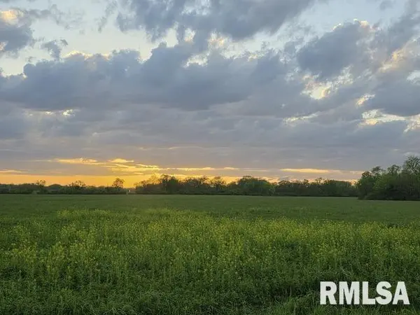 0 E PONY RD,  Marietta,  IL 61459
