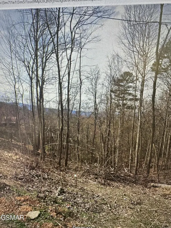 1921 Battle Top Road, Sevierville, TN 37876