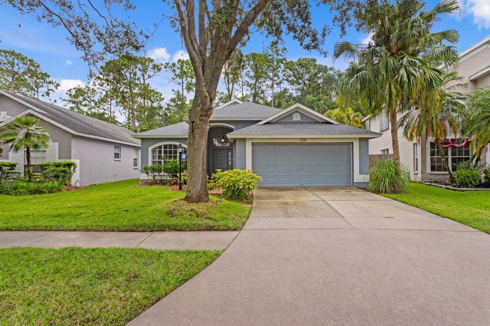 10420 SPRINGROSE DR, Tampa