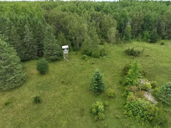 TBD County Rd 31, Northome, MN 56661