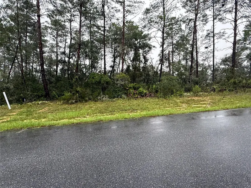0 SW 176TH LOOP, Ocala, FL 34473