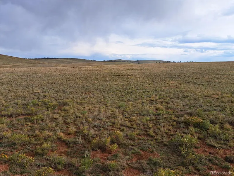 0000 Kiowa RD, Hartsel, CO 80449