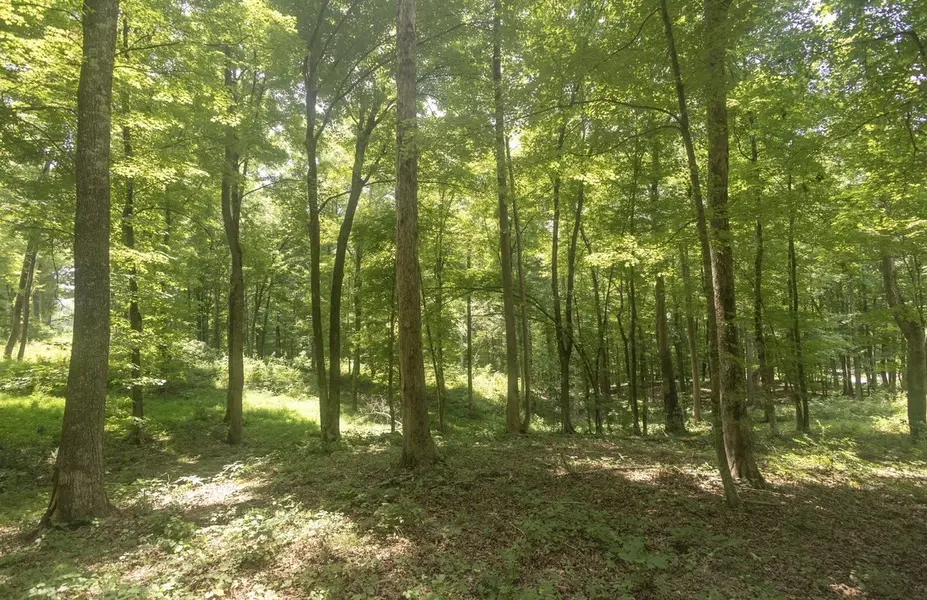 123 County Road 5, Calhoun, TN 37309