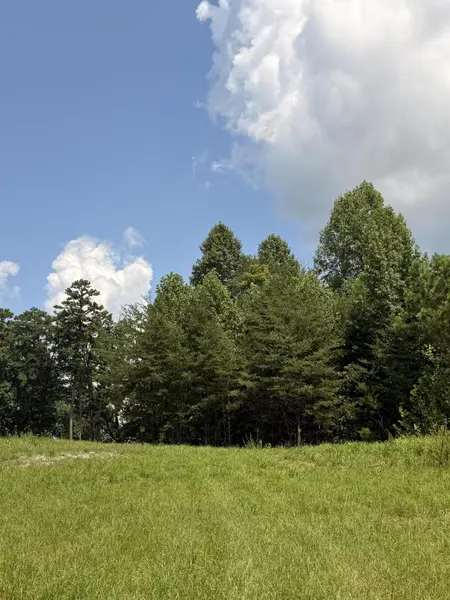 12 Old Harris Turnpike Road, South Pittsburg, TN 37380