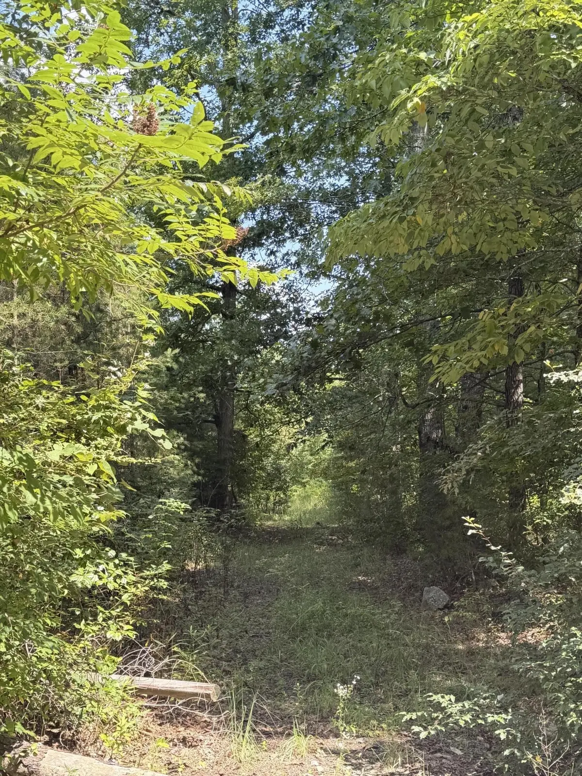 704 Windstone Drive, Sequatchie, TN 37374