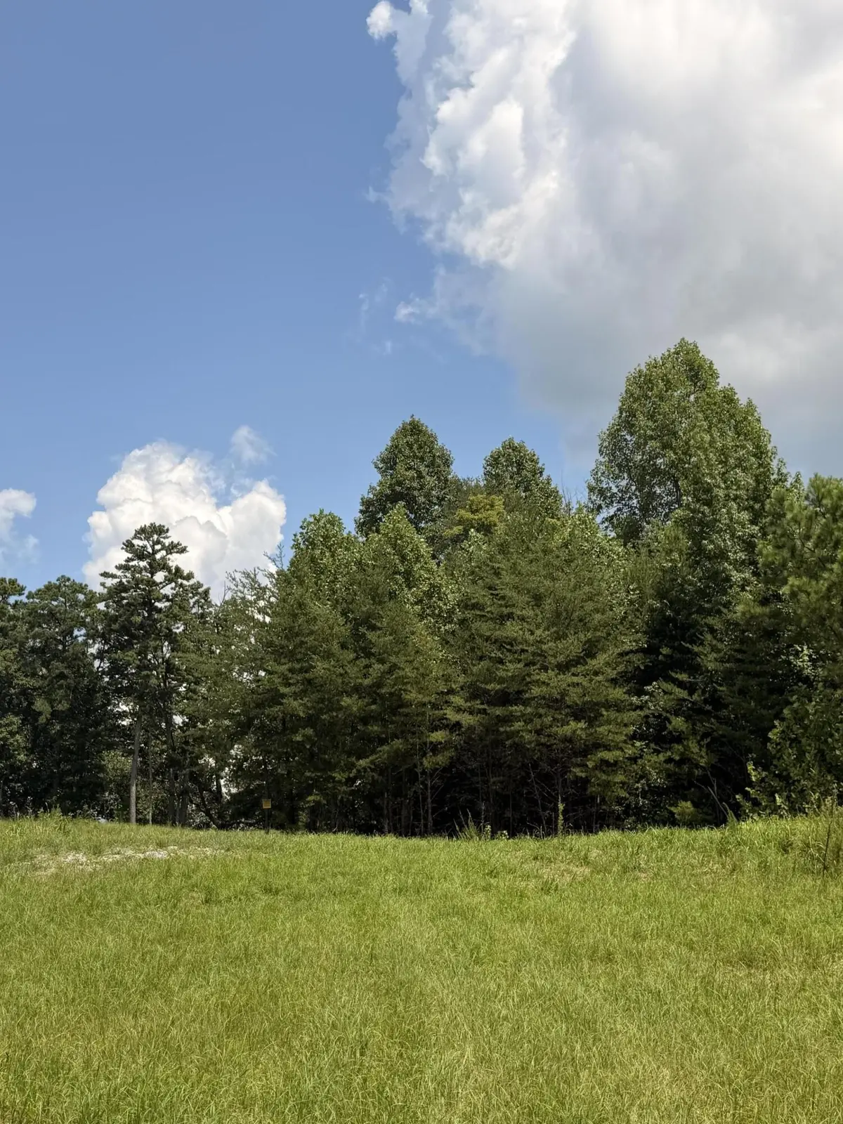 12 Old Harris Turnpike Road, South Pittsburg, TN 37380