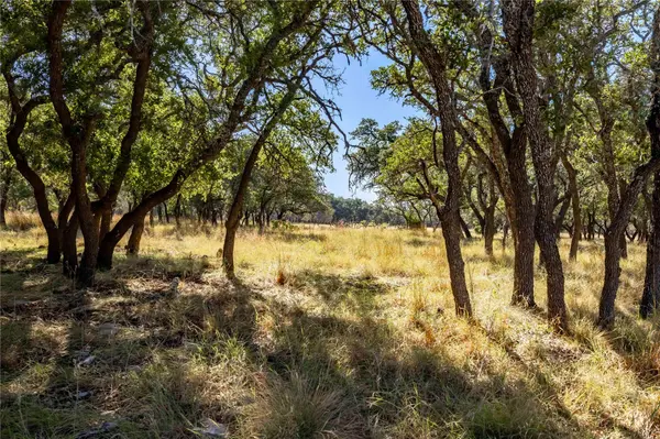 TBD Legacy Oaks DR, Harper, TX 78631