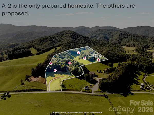 411 Big Sandy Mush RD, Leicester, NC 28748