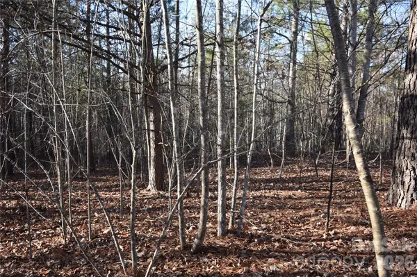 Lot 75 Tayberry DR, Nebo, NC 28761