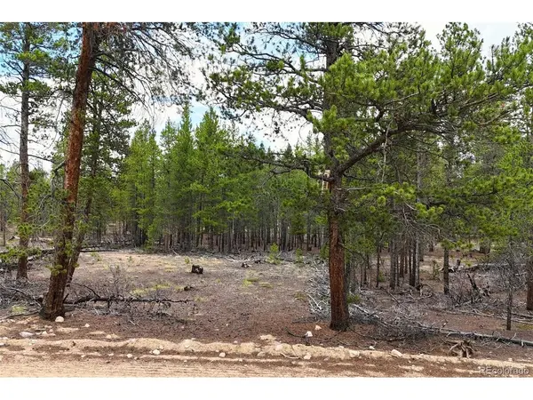 701 Cedar, Leadville, CO 80461