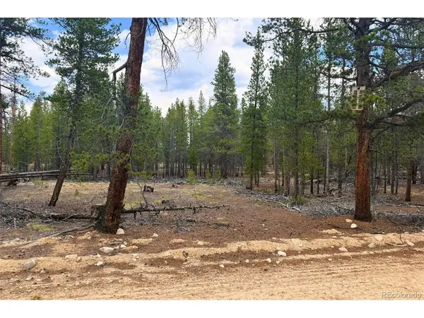 701 Cedar, Leadville, CO 80461