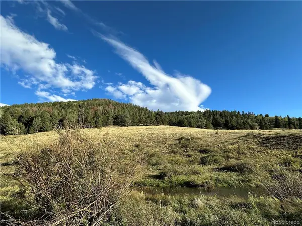 0 HWY 160, Fort Garland, CO 81133