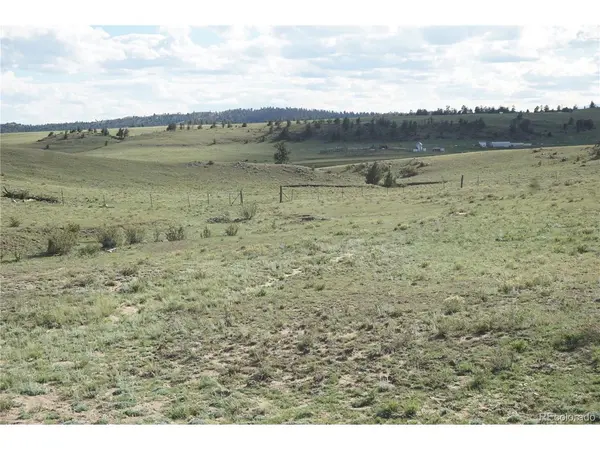 1022 Walls, Hartsel, CO 80449