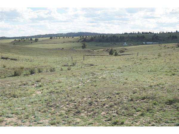 1022 Walls, Hartsel, CO 80449