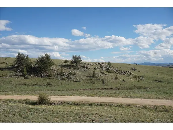 1022 Walls, Hartsel, CO 80449