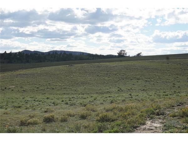 1022 Walls, Hartsel, CO 80449