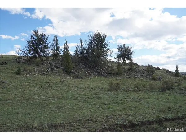 1022 Walls, Hartsel, CO 80449