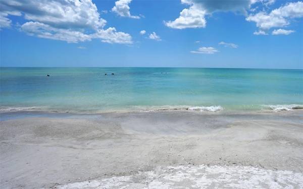1300 BENJAMIN FRANKLIN DR #908, Sarasota, FL, 34236 photo 54
