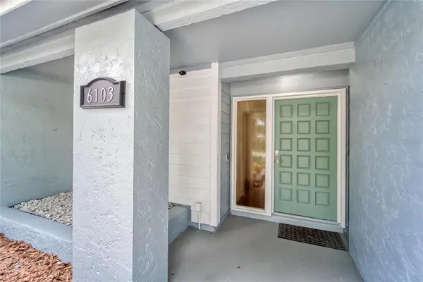 6103 OAK FERN CT, Temple Terrace, FL 33617