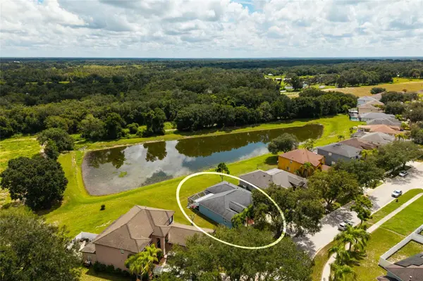 3513 PINE TOP DR, Valrico, FL 33594