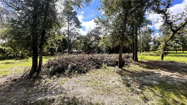 14535 LITTLE RANCH RD, Spring Hill, FL 34610