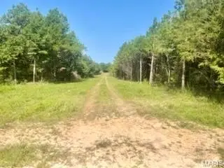 Tract 1 & 2 West Highway 32, Licking, MO 65542