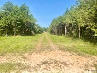 Tract 1 & 2 West Highway 32, Licking, MO 65542
