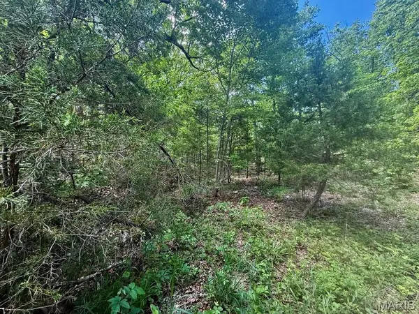 000 Bailey, Licking, MO 65542