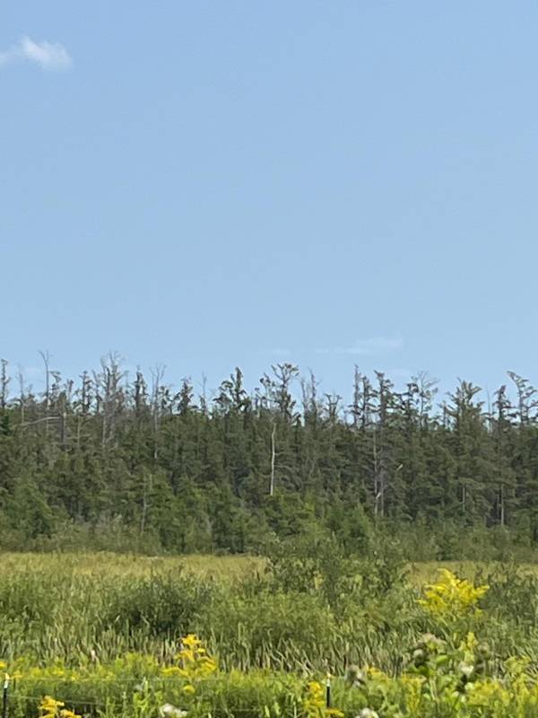 1221 Highway 65, Braham, MN 55006