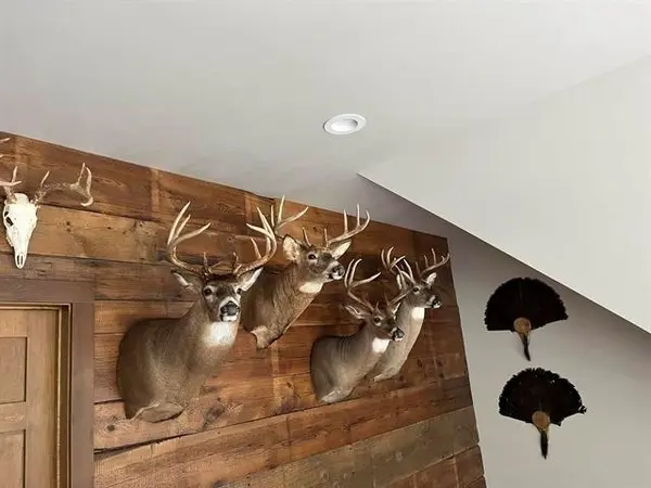 N6161 COUNTY ROAD K, Ogdensburg, WI 54945