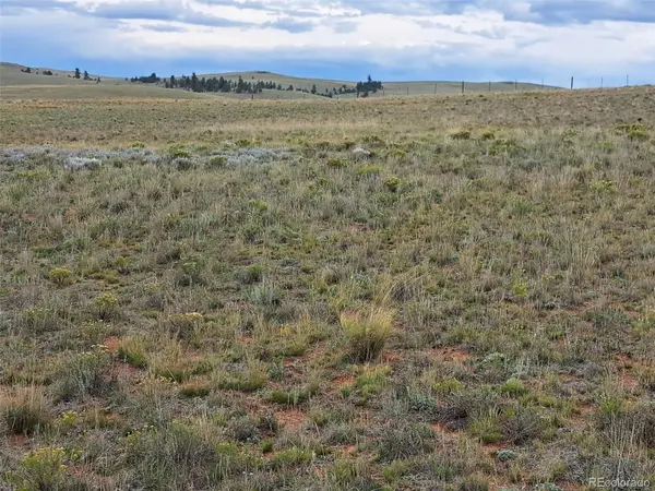 0000 Kiowa RD, Hartsel, CO 80449