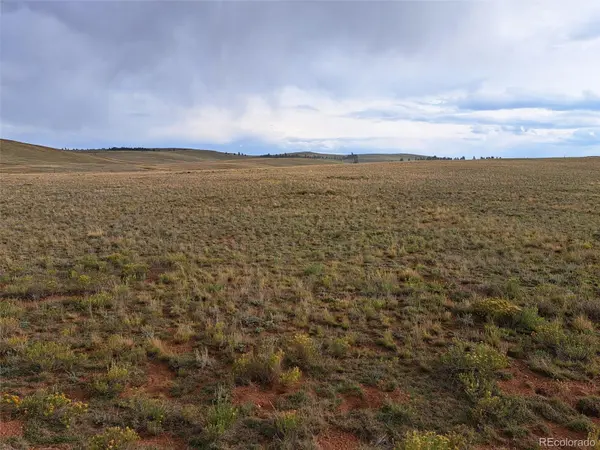 0000 Kiowa RD, Hartsel, CO 80449