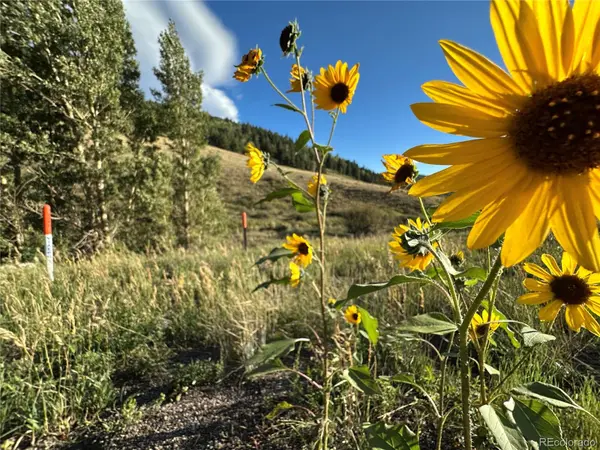 00 HWY 160, Fort Garland, CO 81133