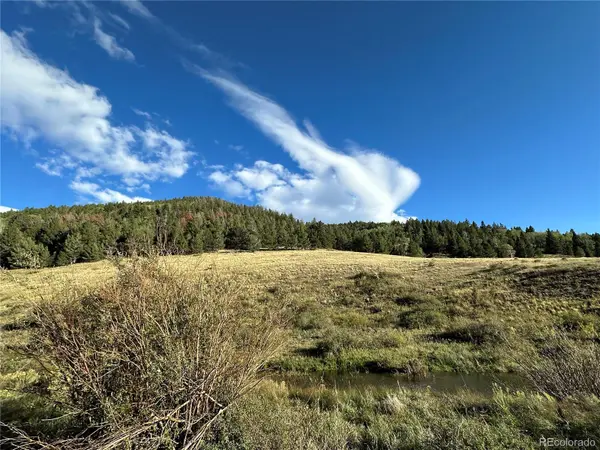 00 HWY 160, Fort Garland, CO 81133