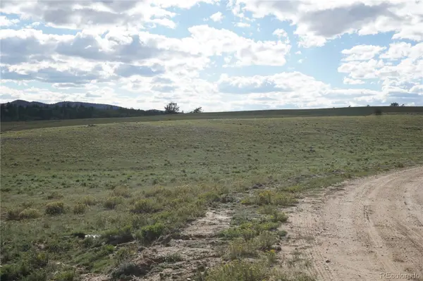 1022 Walls ST, Hartsel, CO 80449