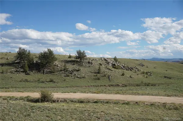 1022 Walls ST, Hartsel, CO 80449