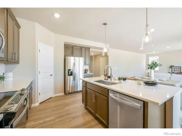 656 Noola ST, Windsor, CO 80550