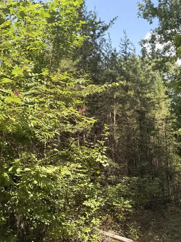 704 Windstone Drive, Sequatchie, TN 37374