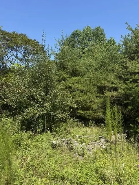 704 Windstone Drive, Sequatchie, TN 37374