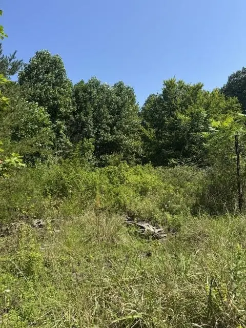 704 Windstone Drive, Sequatchie, TN 37374
